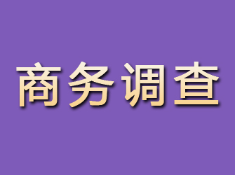 沁源商务调查